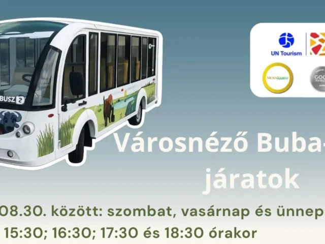 Buba Busz információs kép